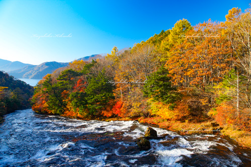 秋の竜頭の滝