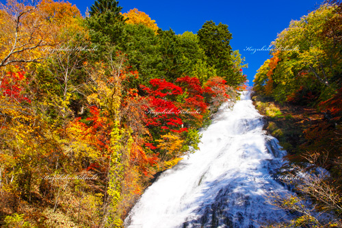 秋の湯滝