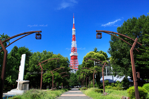 東京タワー／芝公園にて