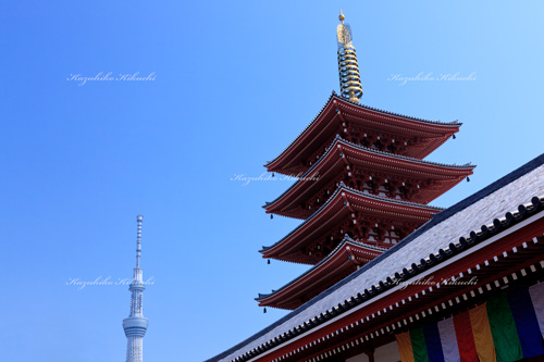 浅草寺五重塔と東京スカイツリー