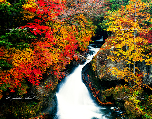 秋の竜頭の滝