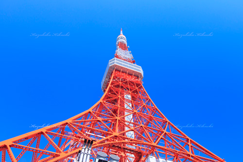 芝公園／東京タワー