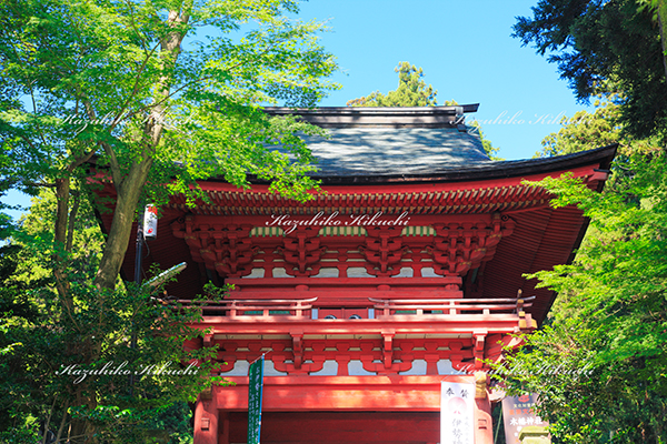 木幡神社（国重要文化財）