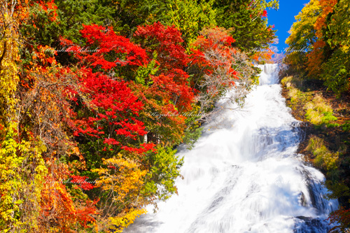 秋の湯滝