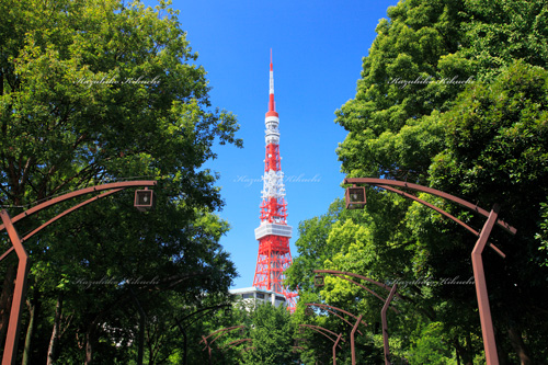 東京タワー／芝公園にて