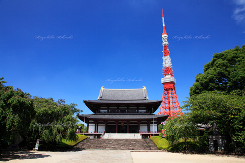 芝増上寺と東京タワー