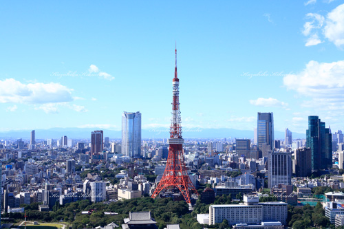 東京タワー／世界貿易センタービルから