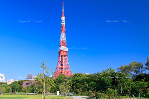 芝公園／東京タワー